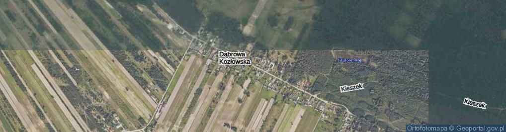 Zdjęcie satelitarne Dąbrowa Kozłowska ul.